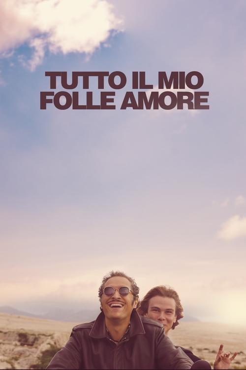 Poster Tutto il mio folle amore