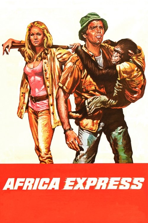 Poster Africa Express
