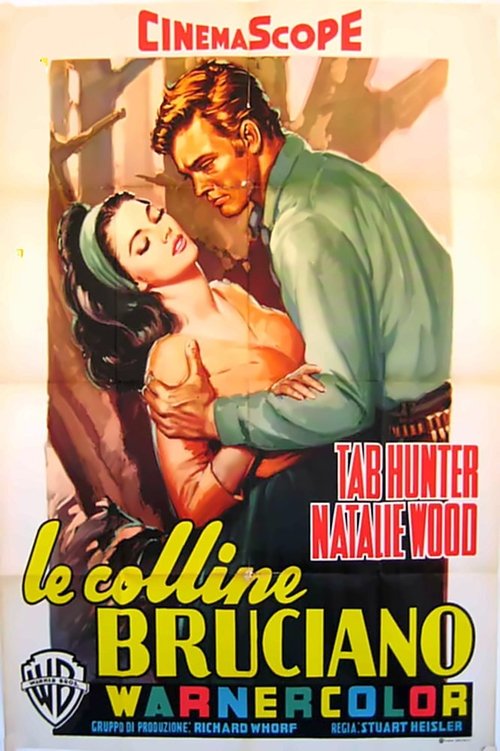 Poster Le colline bruciano