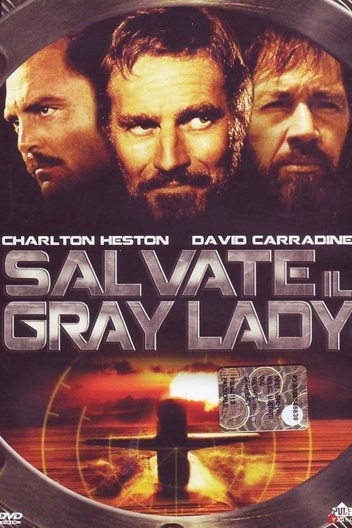 Poster Salvate il Gray Lady